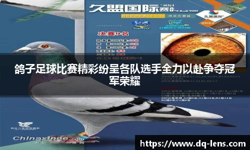 鸽子足球比赛精彩纷呈各队选手全力以赴争夺冠军荣耀
